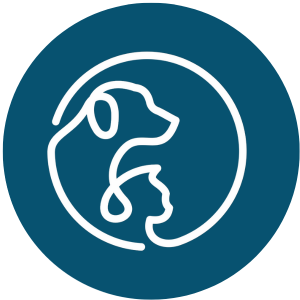 Image of cat and dog